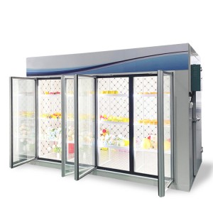 Display Cold Room With Glass Doors