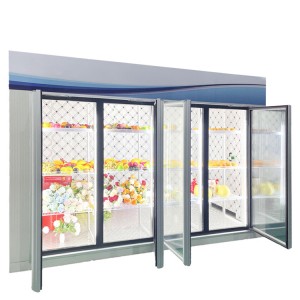 Display Cold Room With Glass Doors